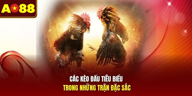 Các kèo đấu tiêu biểu trong những trận đặc sắc 