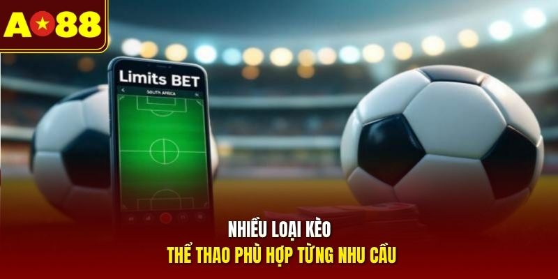 Nhiều loại kèo thể thao phù hợp từng nhu cầu 